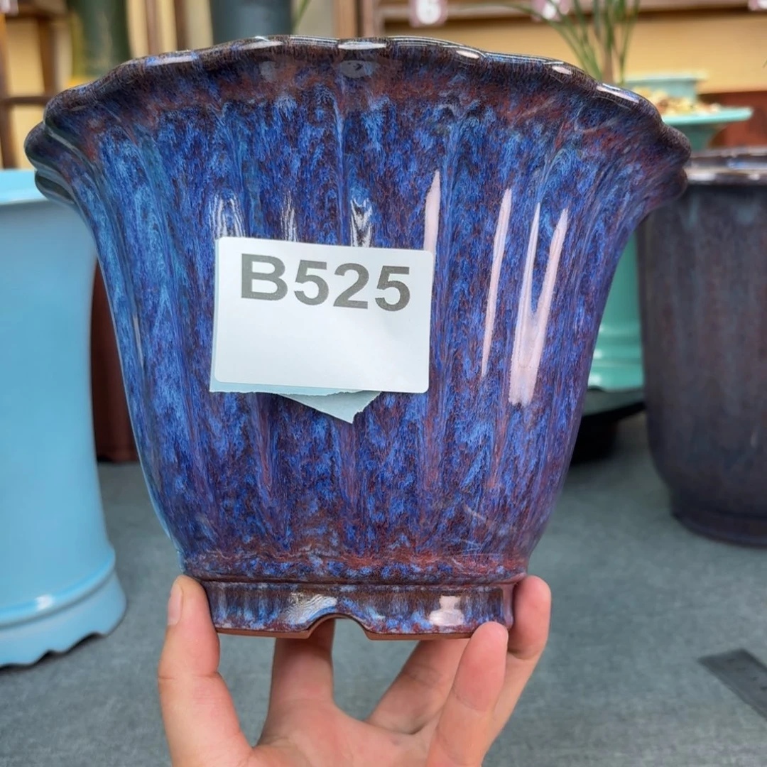 截***道花盆紫砂兰花42555685685888