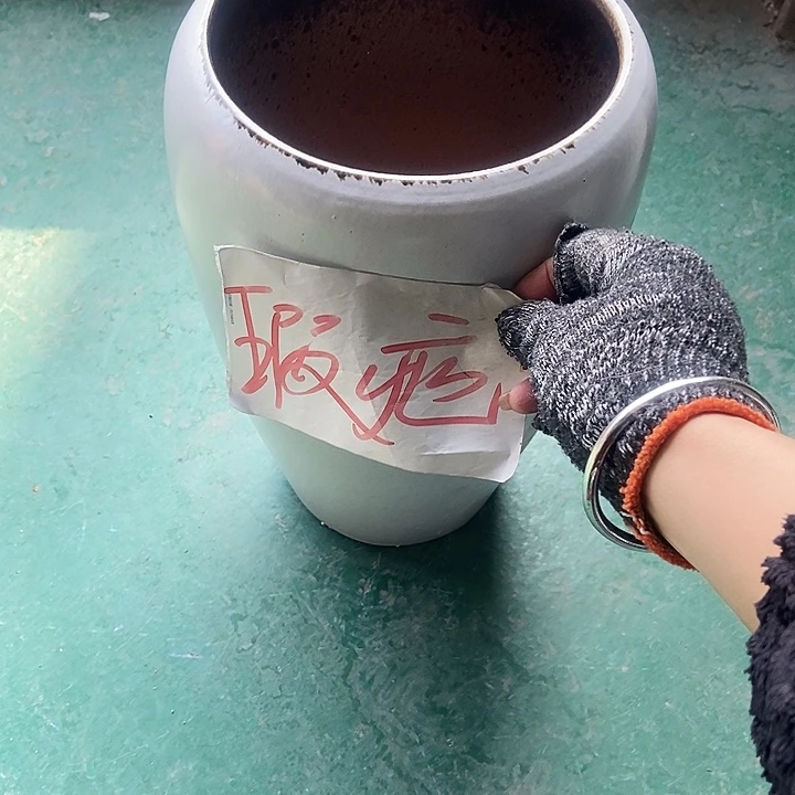 红陶口18..32....