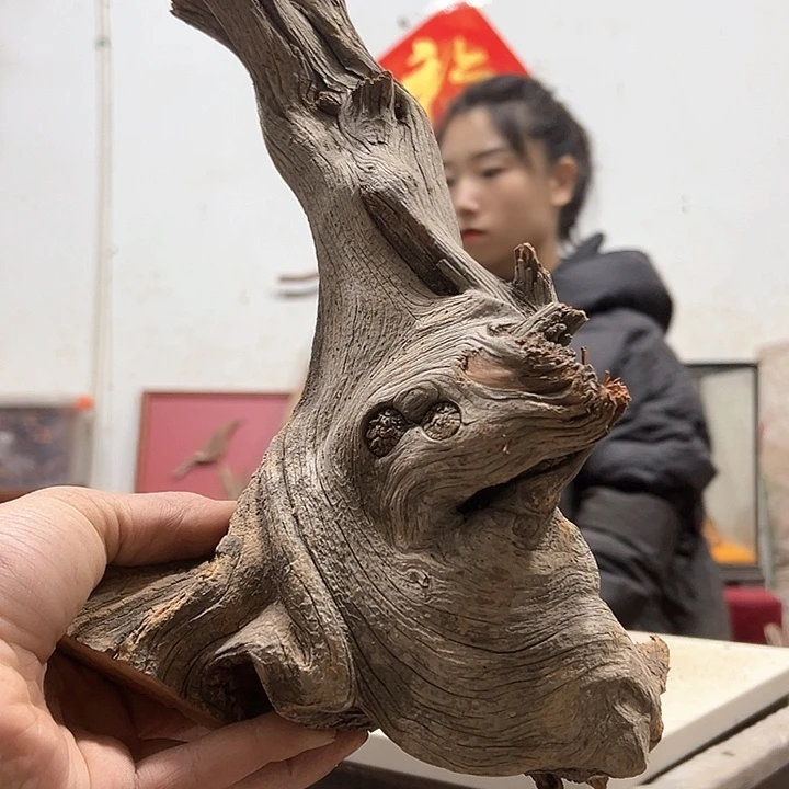 柏木燃**桥我们都是好孩子啊