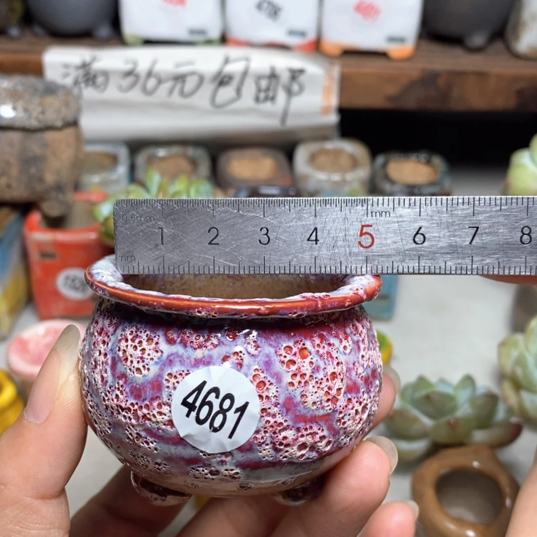 拍5送一个小礼物