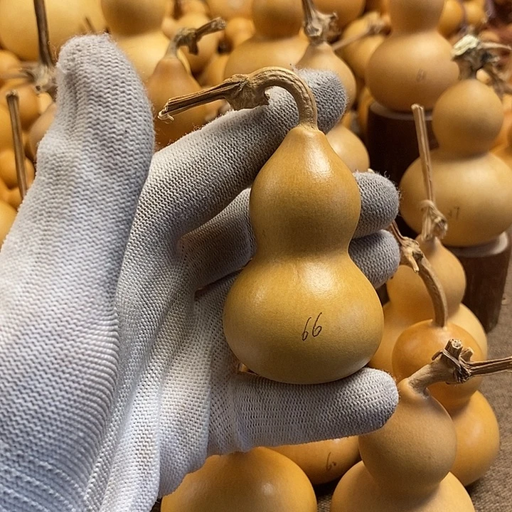 文玩葫芦 完美主义者 慎拍66