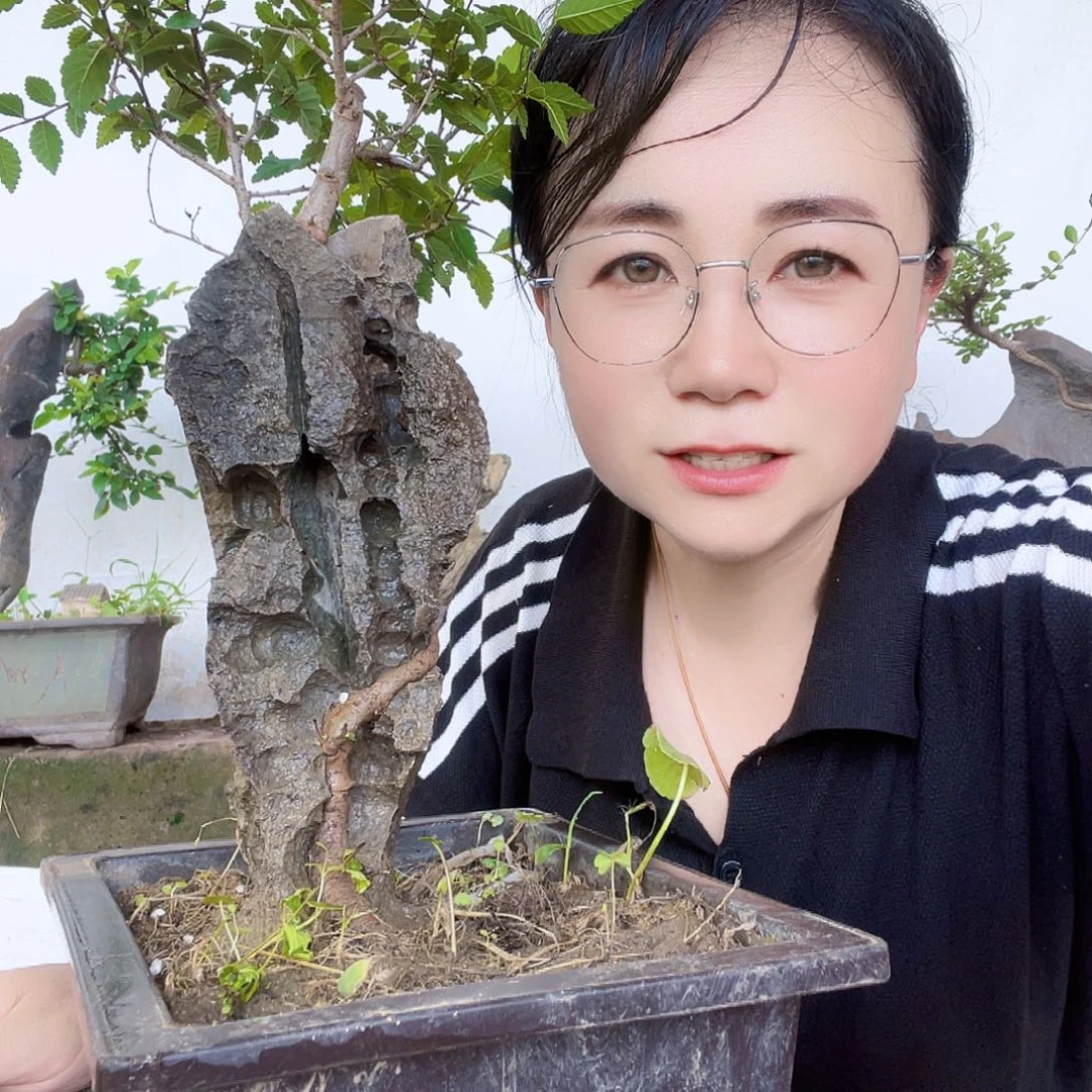 V***威直播间等你们回来没有