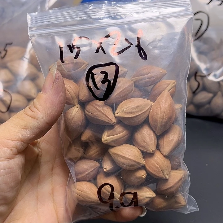 手串/手链橄榄核13