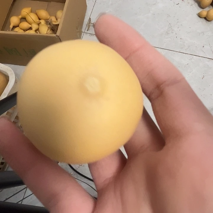 鸡蛋葫芦1个厚皮响籽