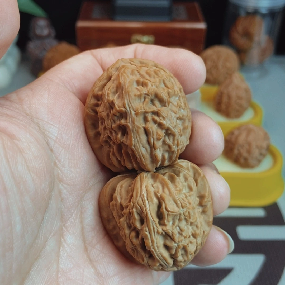 福利白狮子核桃手把件！