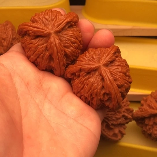 S***o核桃核桃核桃核桃核桃核桃