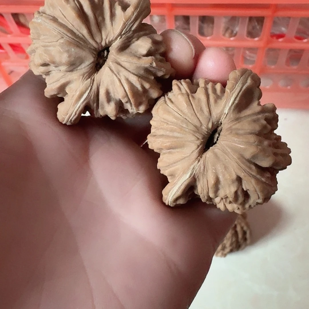 全品四座楼狮子头44