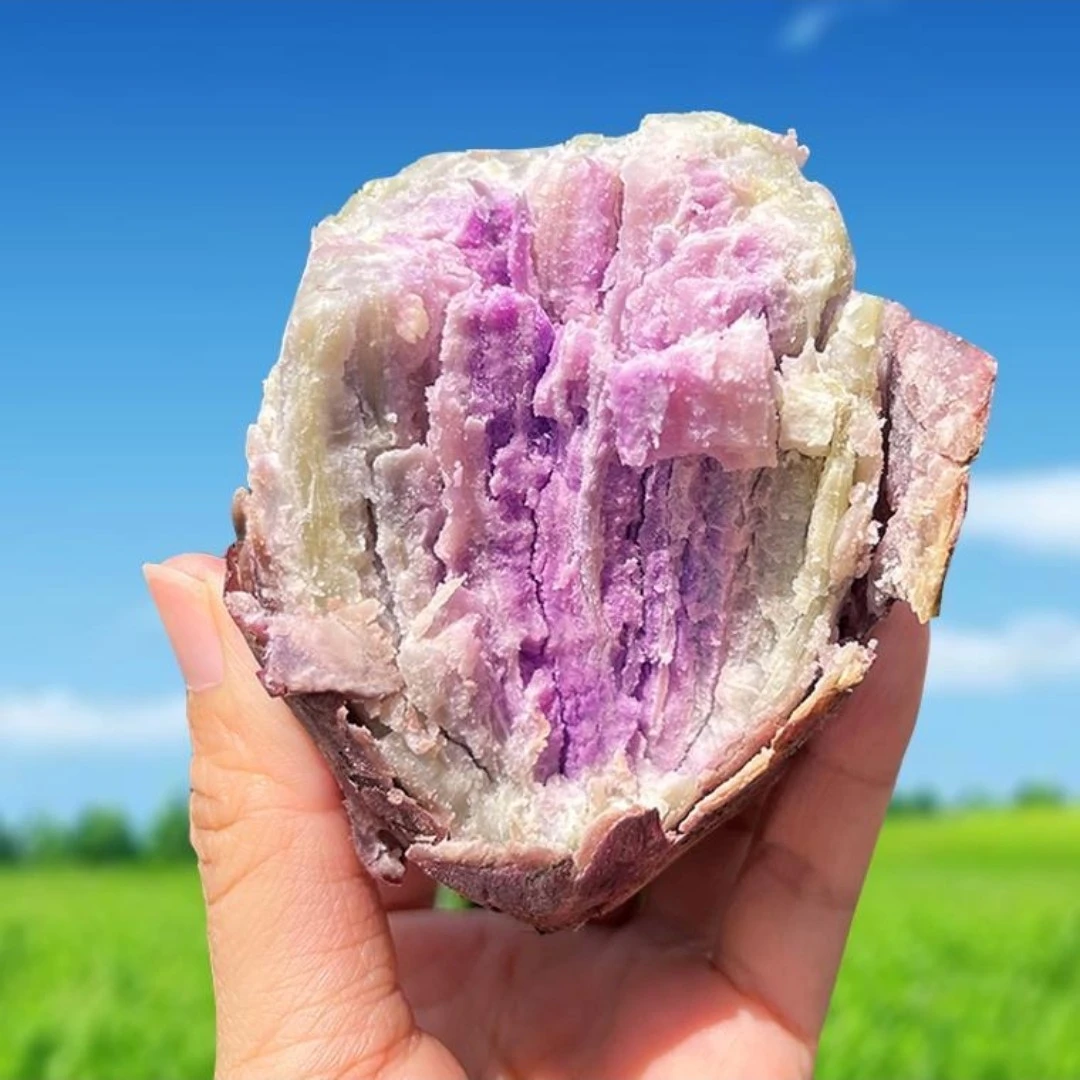 湘西高山种植新鲜带土发货冰淇淋红薯皮薄一点红健康香甜