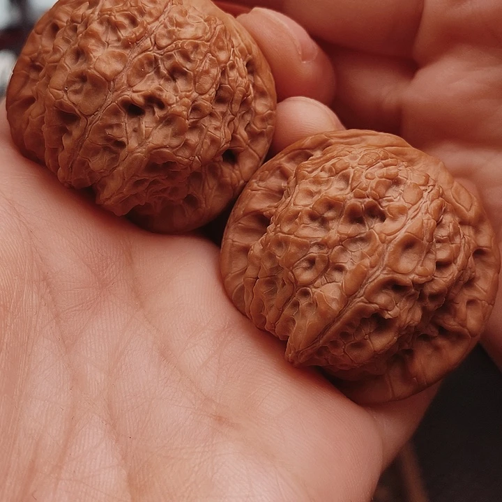 核桃39尺血麒麟核桃