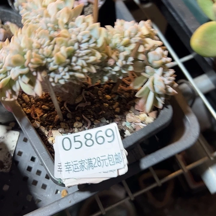 幸运的是我还没遇到过这样
