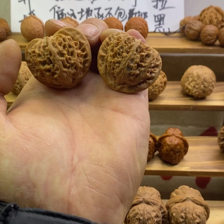 核桃宫灯一物一物一拍