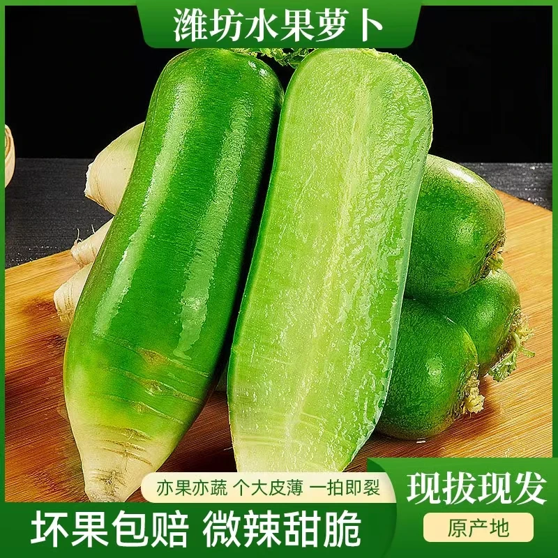 山东潍坊水果萝卜脆甜多汁清爽脆口现拔现发