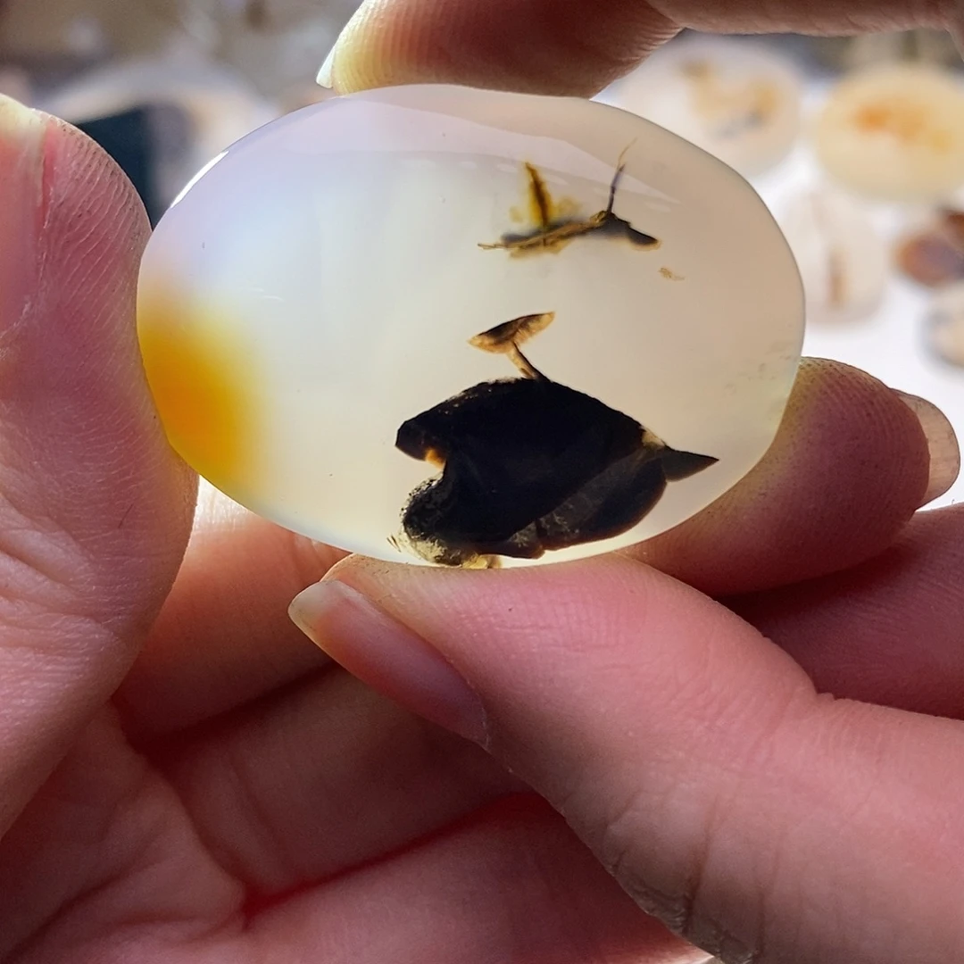 未镶嵌玛瑙/玉髓珠宝奇石