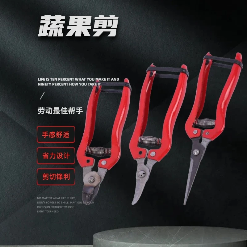 稀果剪剪子摘采摘水果剪刀花椒剪剪刀工具园林疏花蔬果剪修剪园艺