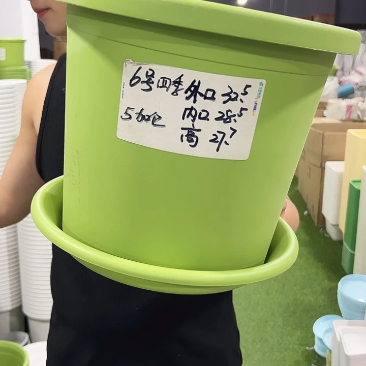 特价6号口32高27.7果绿色5支带托