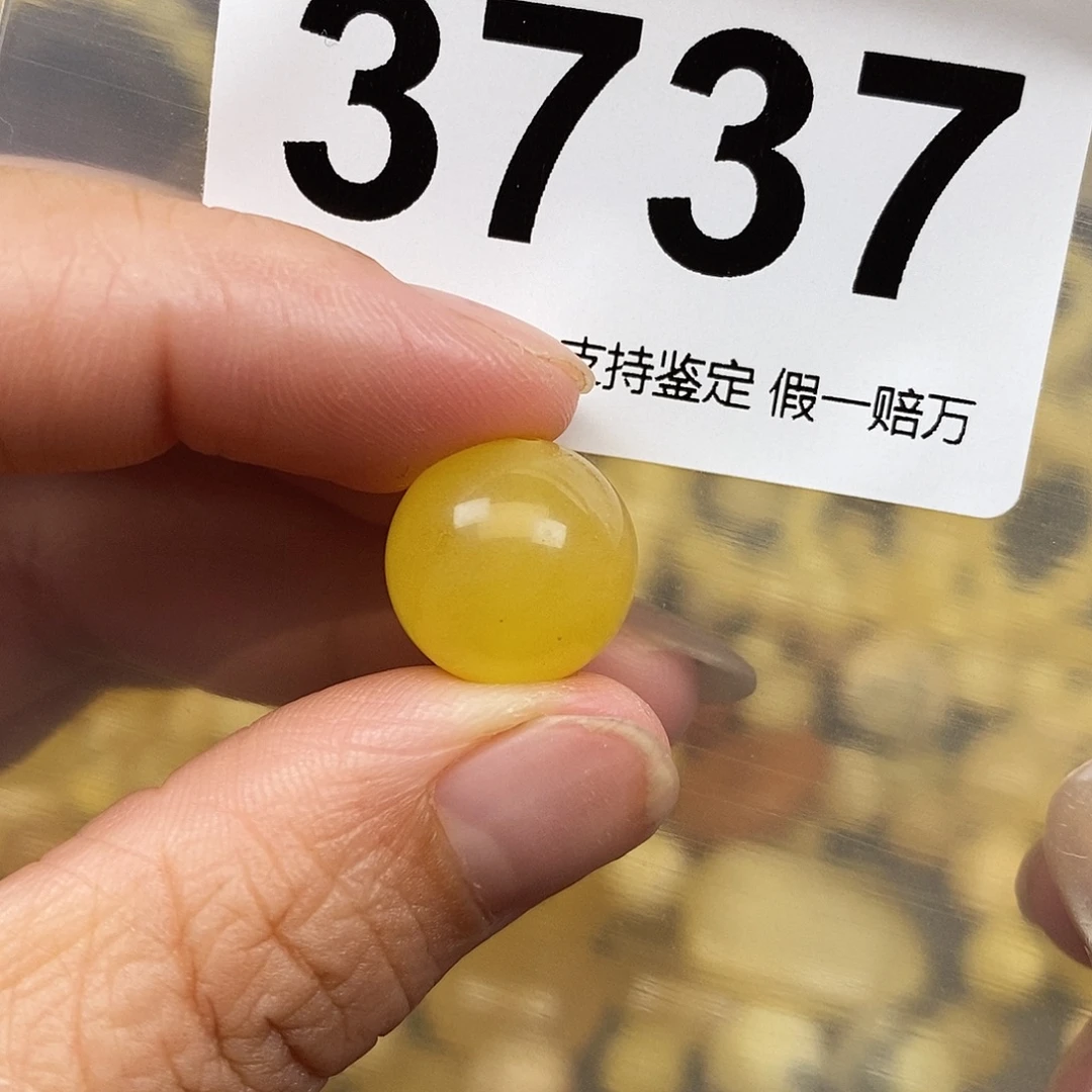 琥珀未镶嵌珠宝奇石14.1