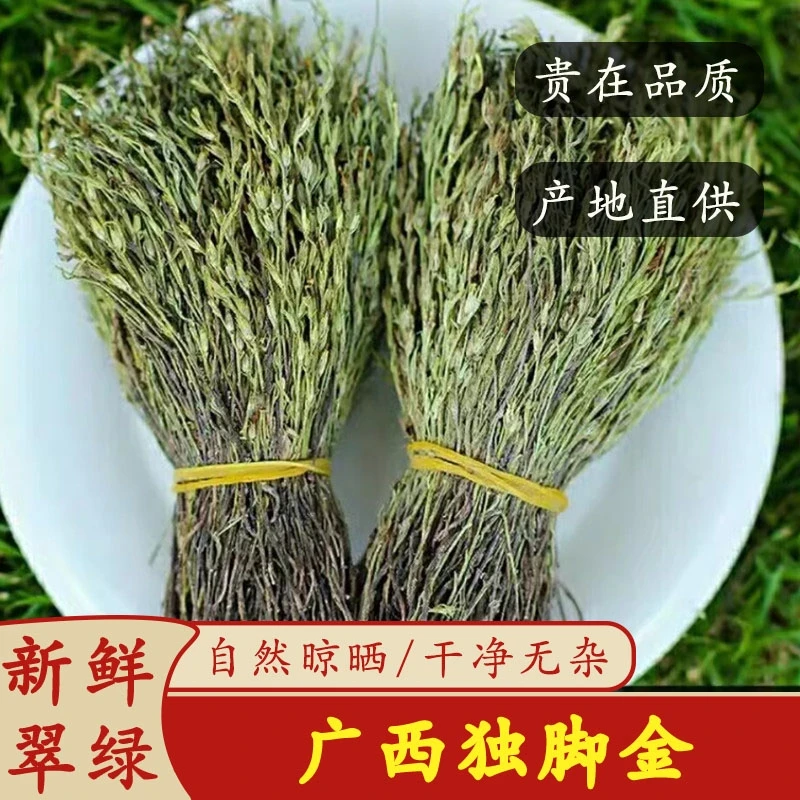 广西野采独脚金50g-100g疳积草小孩开胃消积独角金新鲜晒干疳积草