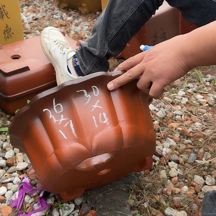 紫砂花盆紫砂花盆