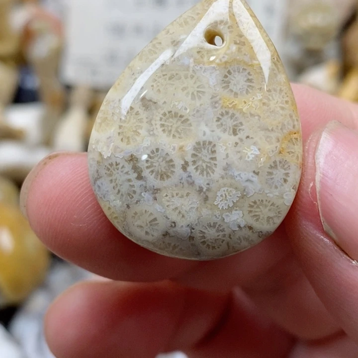 颈饰未镶嵌硅化珊瑚（珊瑚玉）小