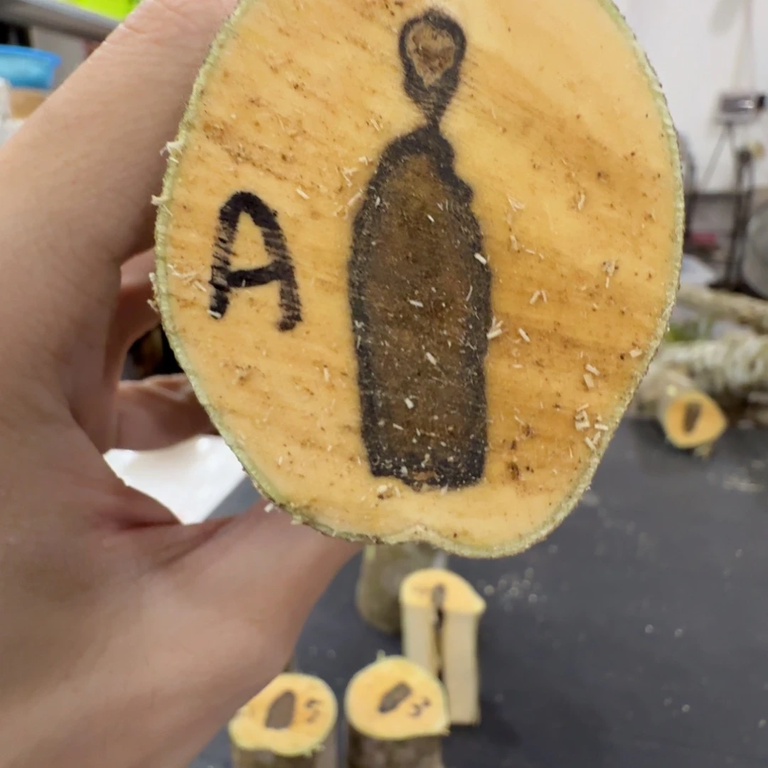 线香奇楠沉香原木