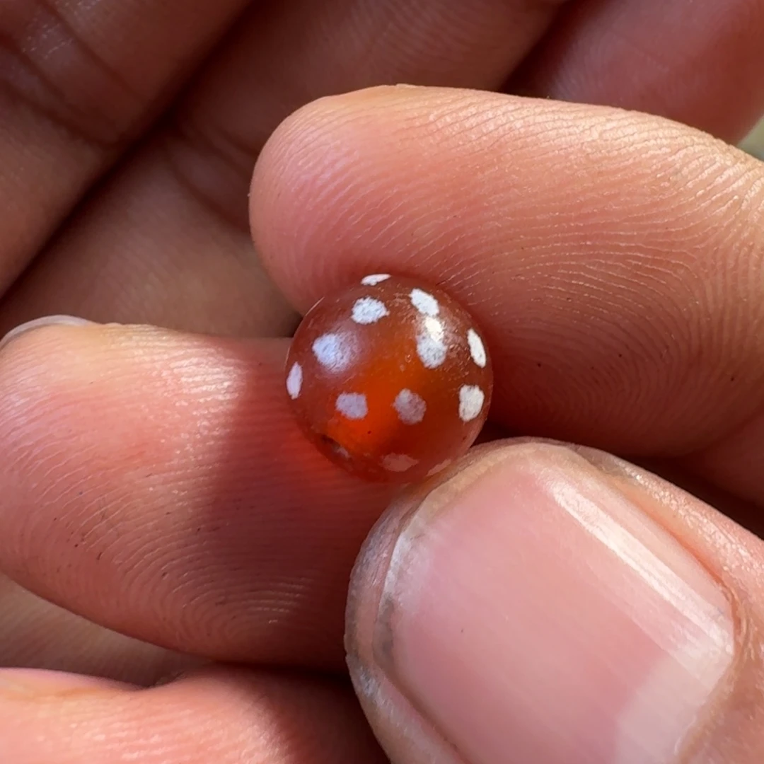 蔡**哥一物一图一物一图