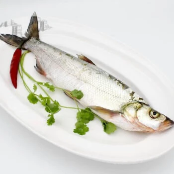 东北冷水翘嘴岛子白鱼7斤多条包邮