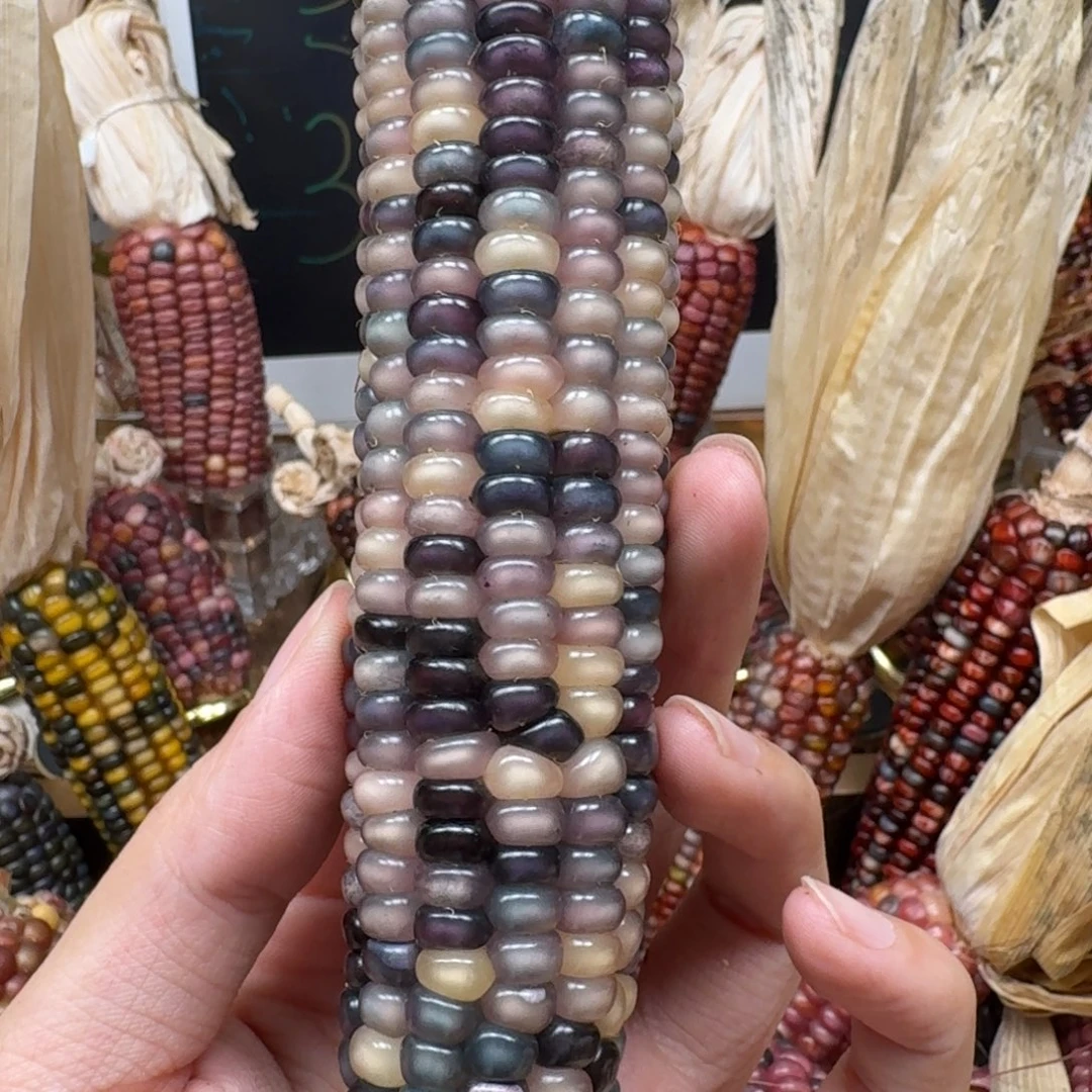 柏香籽/百香籽吊坠用****9