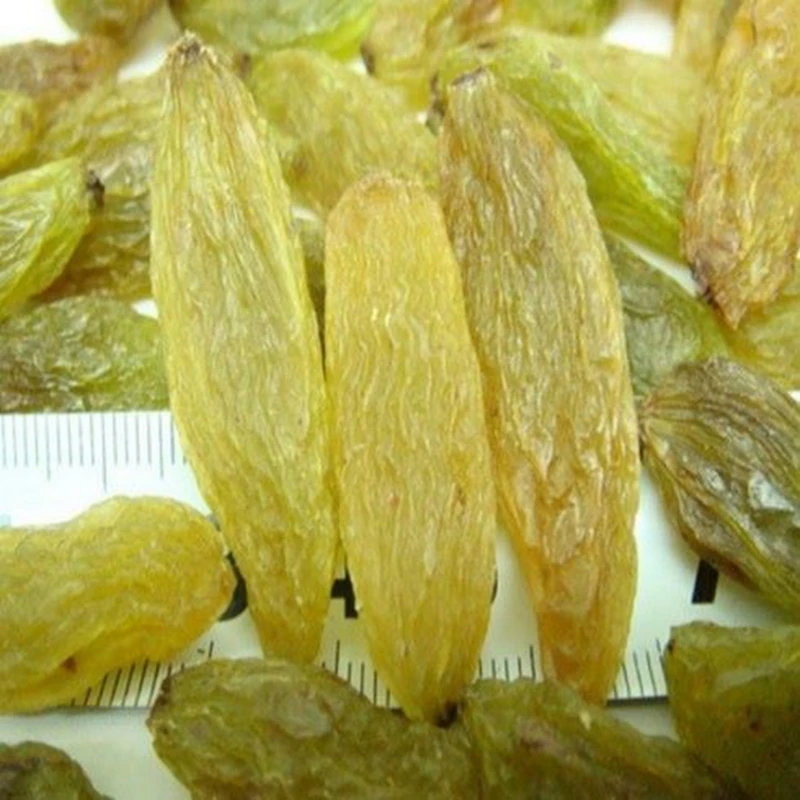 新疆无籽新货超大粒长孕妇葡萄干500g新疆无籽精品特级特产即食
