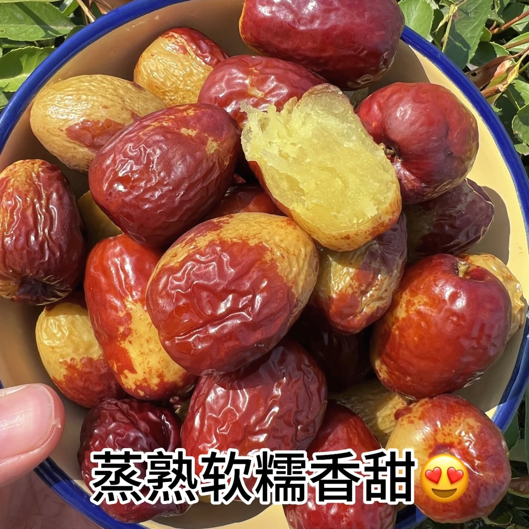 【一款为蒸而生的鲜枣】媳妇枣河南当季新鲜农产品现摘现发2斤4斤