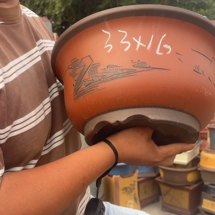 紫砂花盆紫砂花盆盆栽花卉盆景盆栽观赏