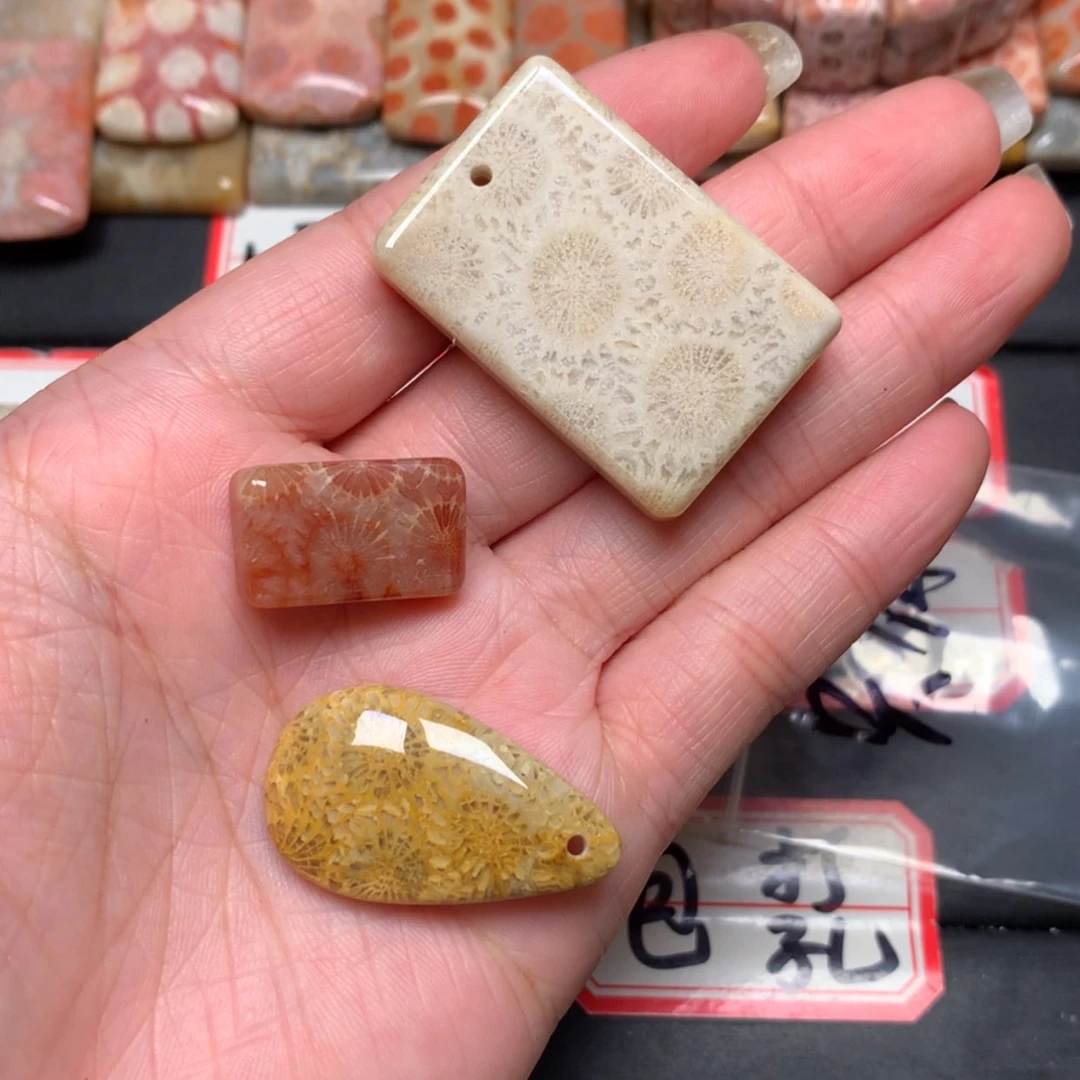 【闪购商品】未镶嵌颈饰硅化玉只**在