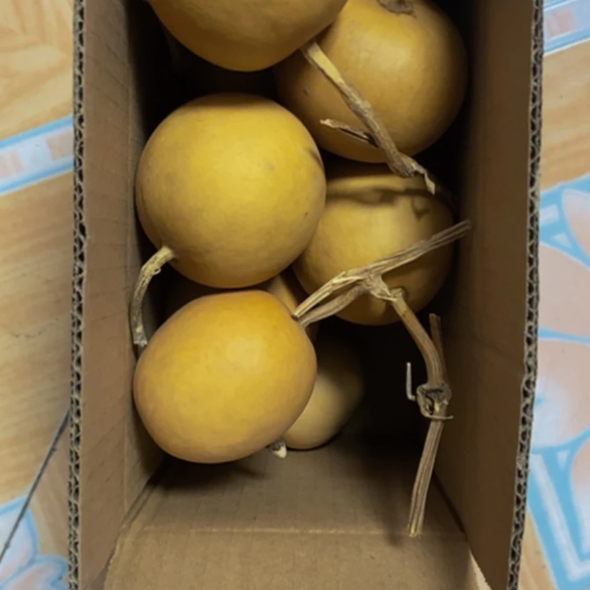 【闪购商品】10个苹果20块钱