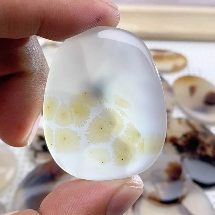 玛瑙/玉髓颈饰未镶嵌丫**?
