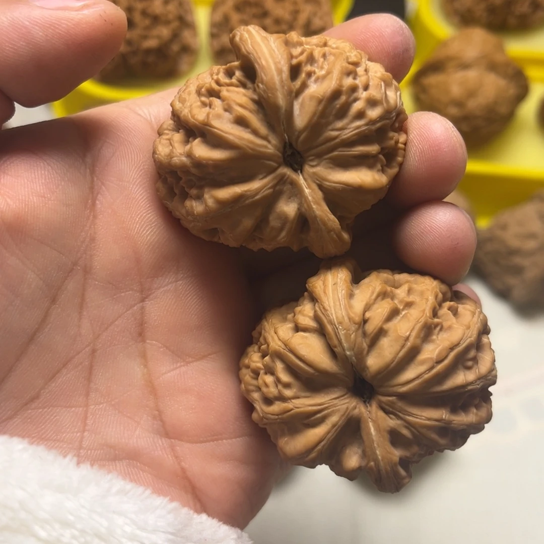 大叶紫檀（黑酸枝木类）