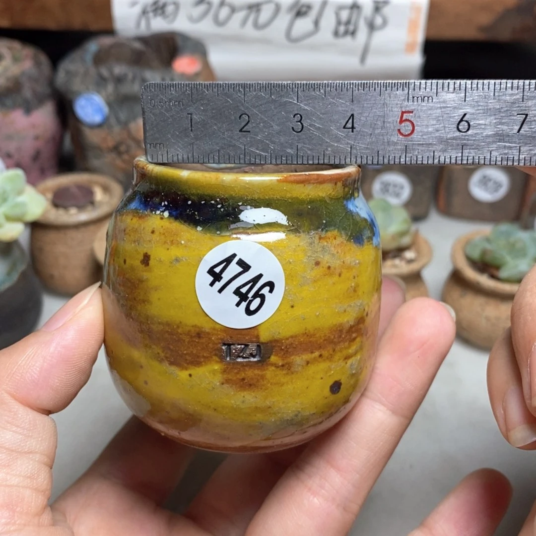 拍5送一个小礼物