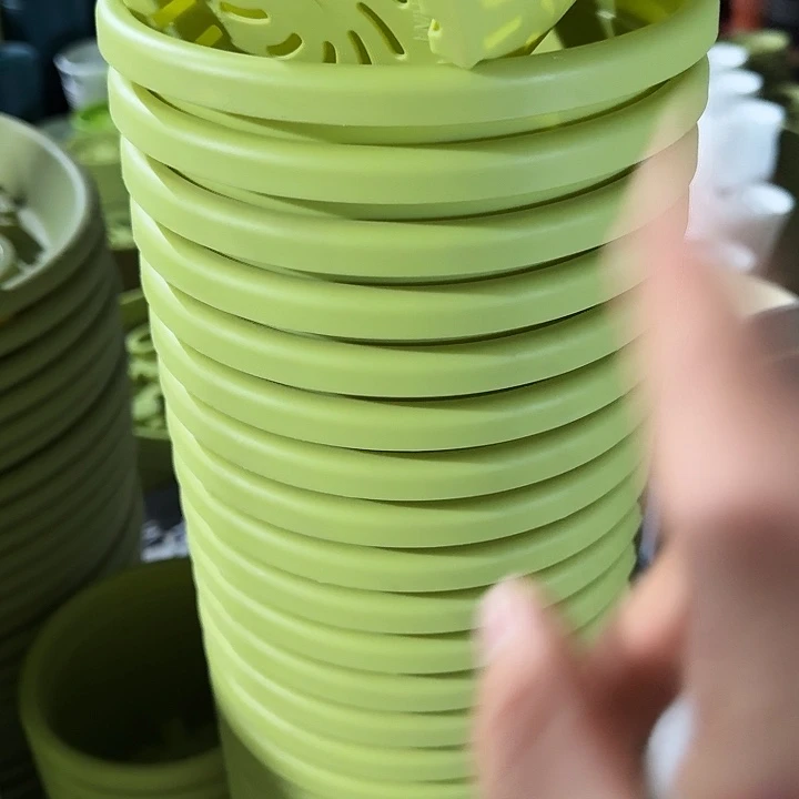 四季2号果绿无托10个