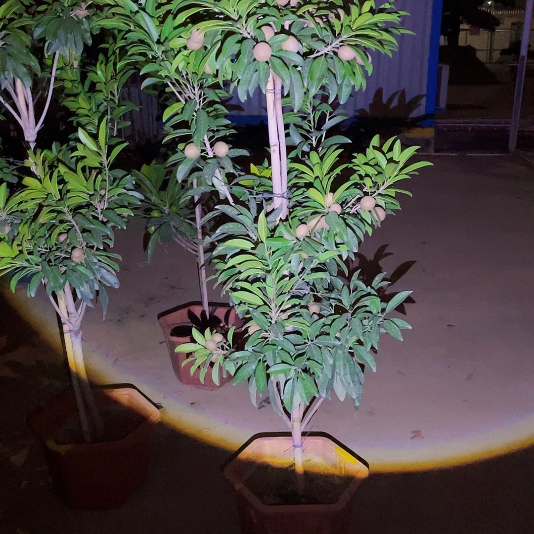 完全开放安*g m 8888888888