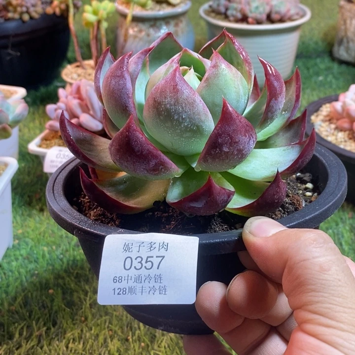 0357啊啊啊啊啊啊啊啊啊啊啊