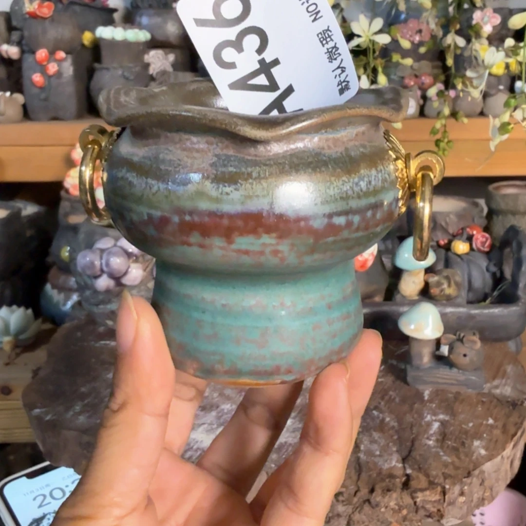 重庆小燕子欢迎大家436