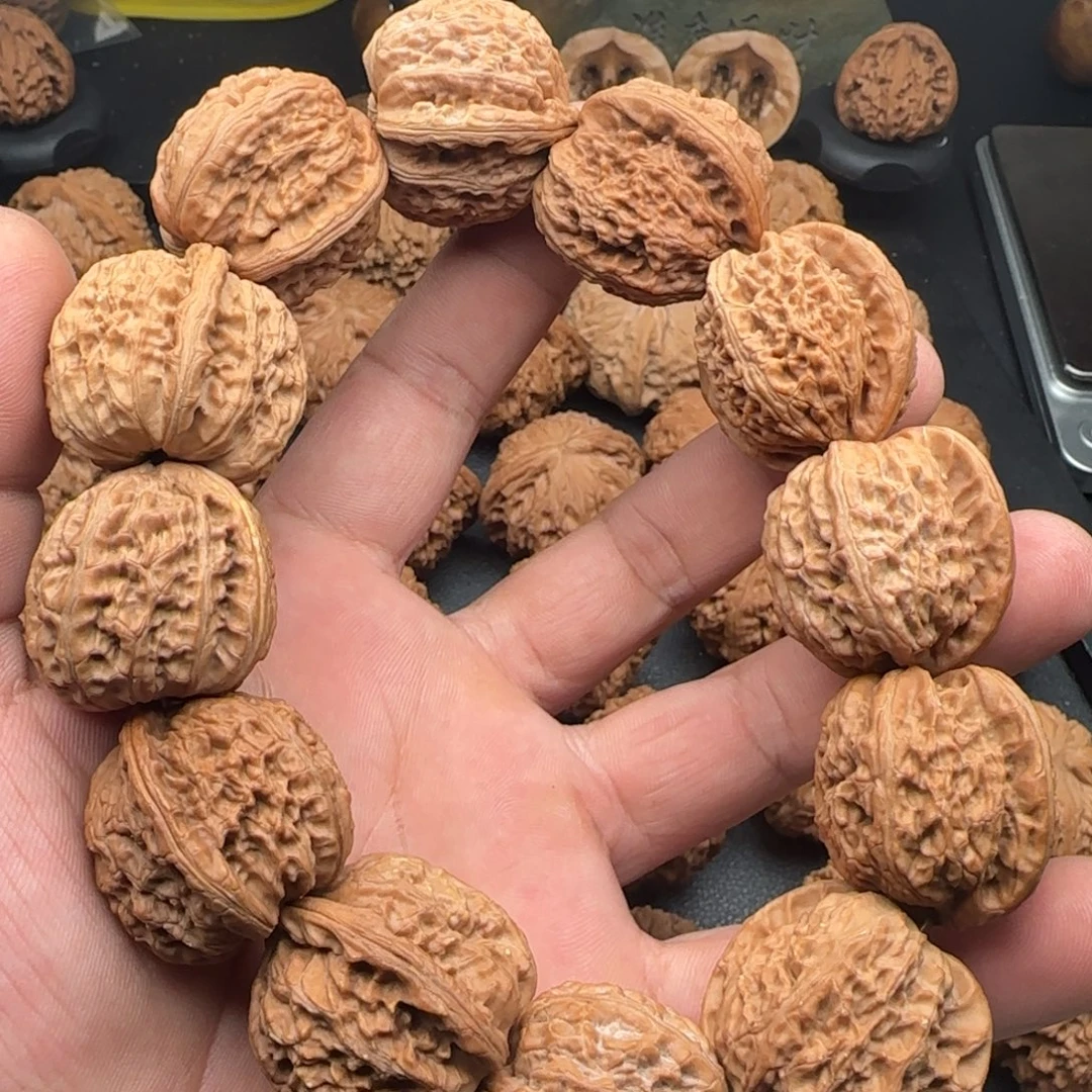 白狮子小手持12个