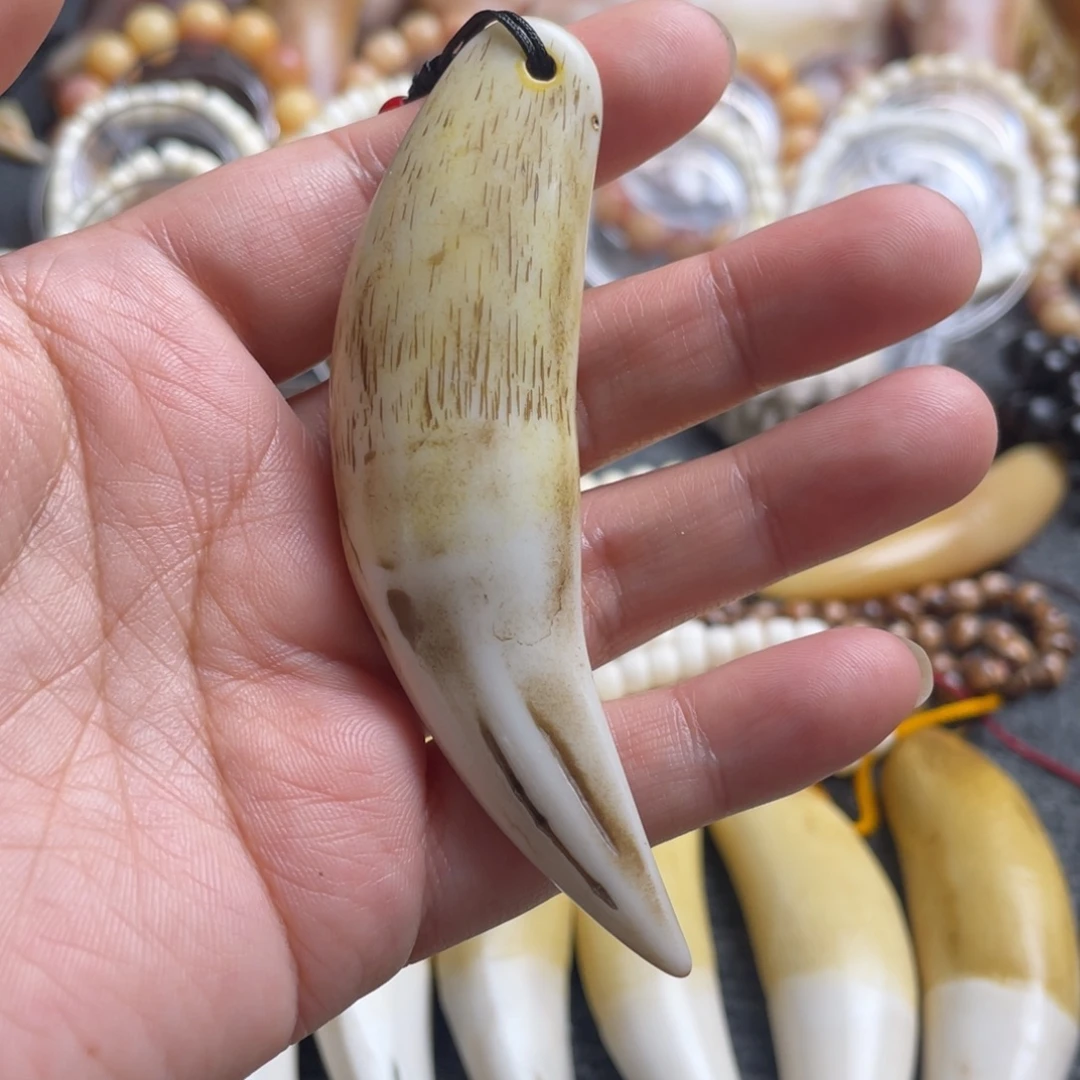 驼骨把件9➕老牙牙