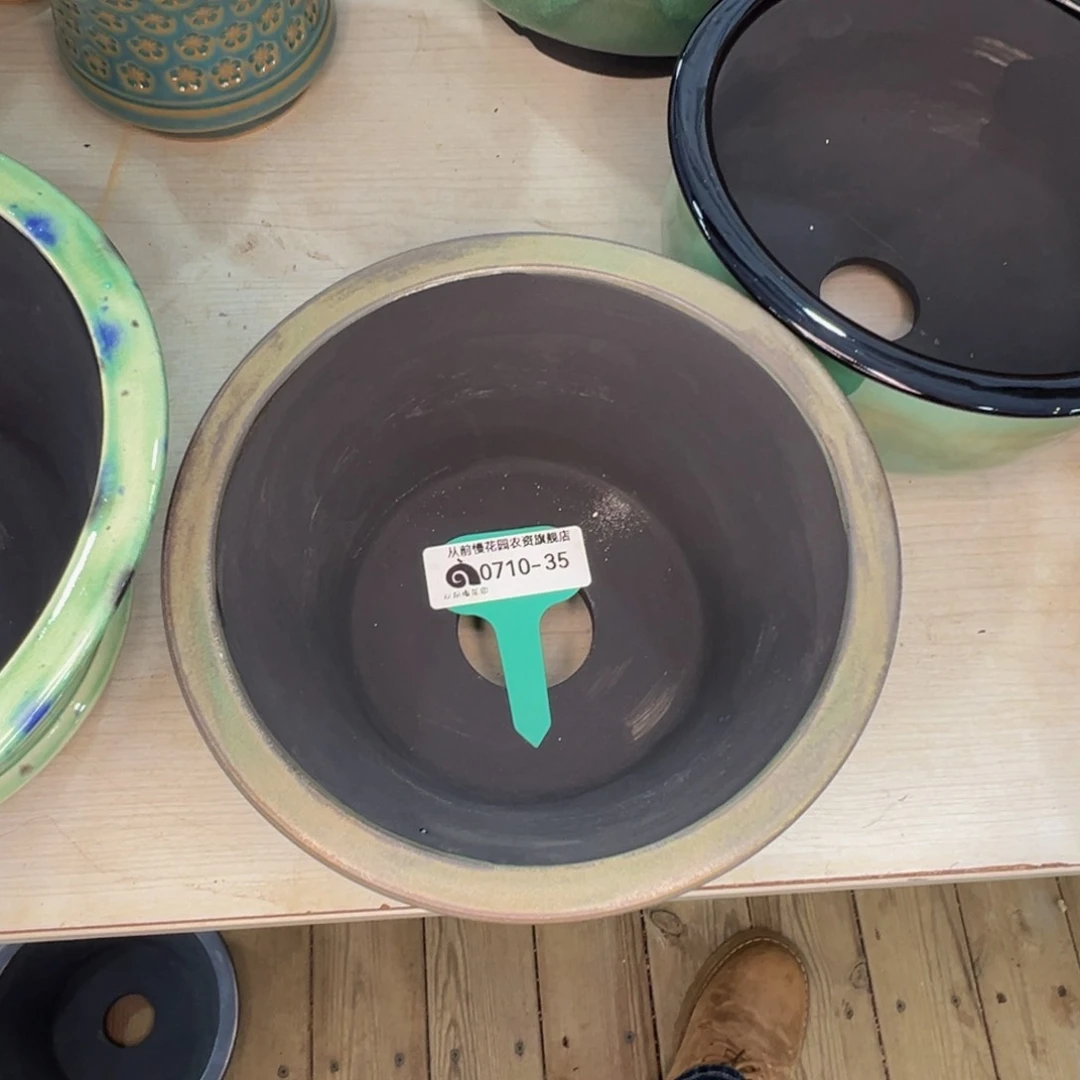 约**德多肉一物一拍0710-35