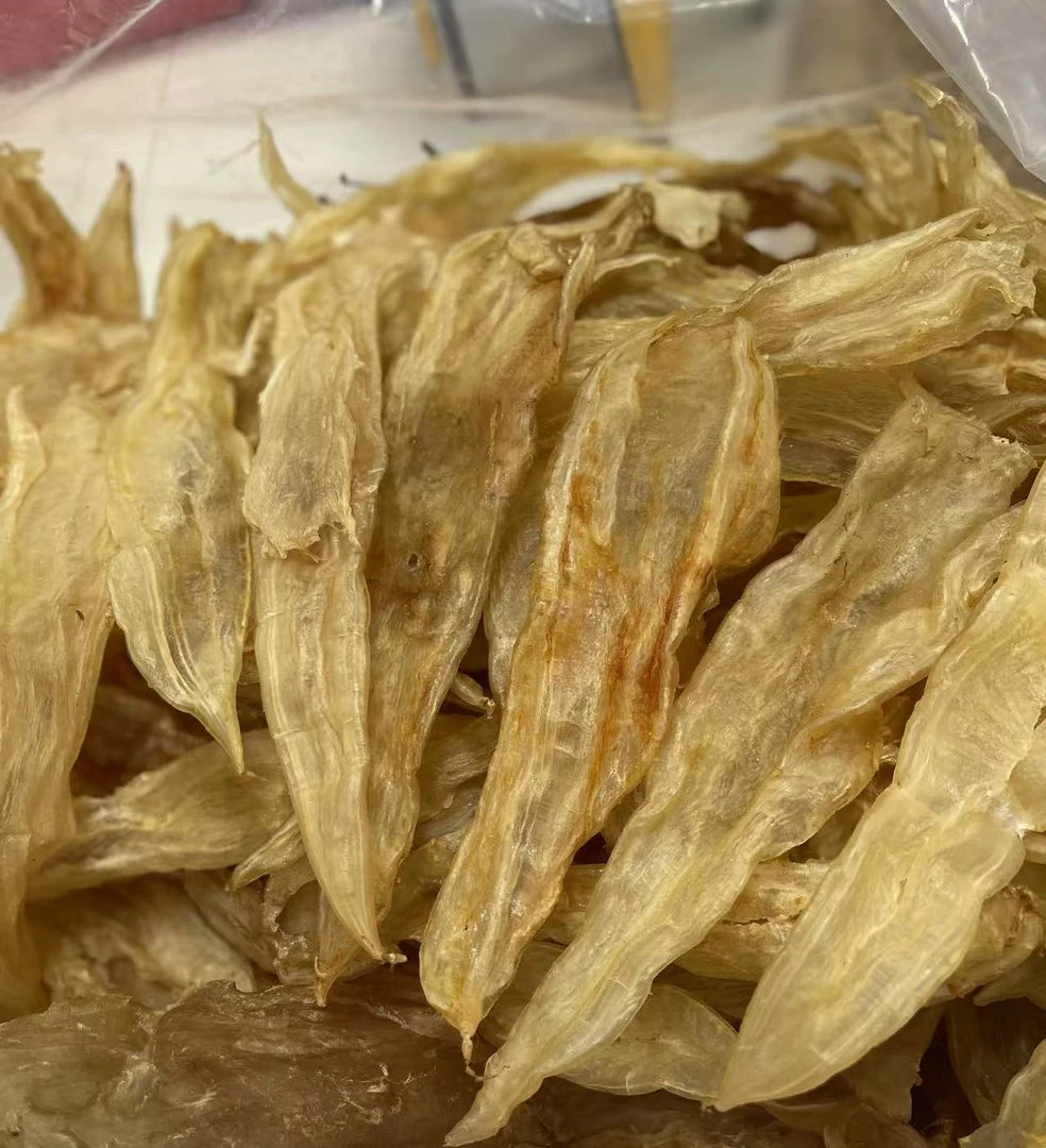 精选10头左右阴阳条老鱼胶