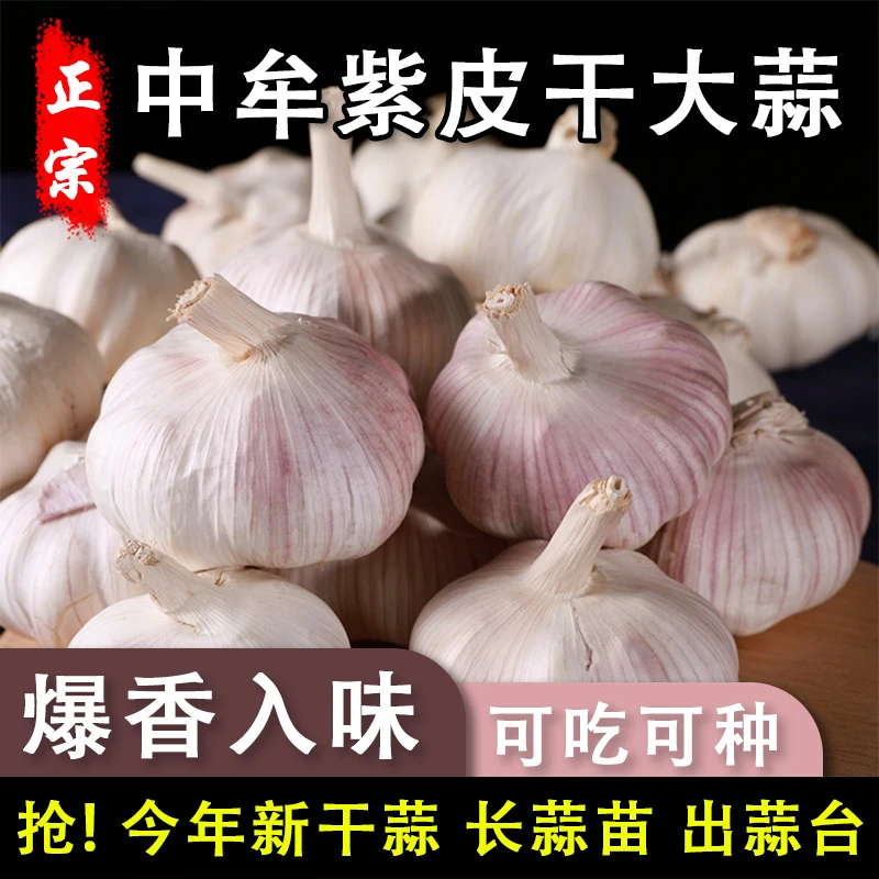 【助农】2025年紫白皮新鲜干大蒜头辛辣提香可吃可种整箱包邮