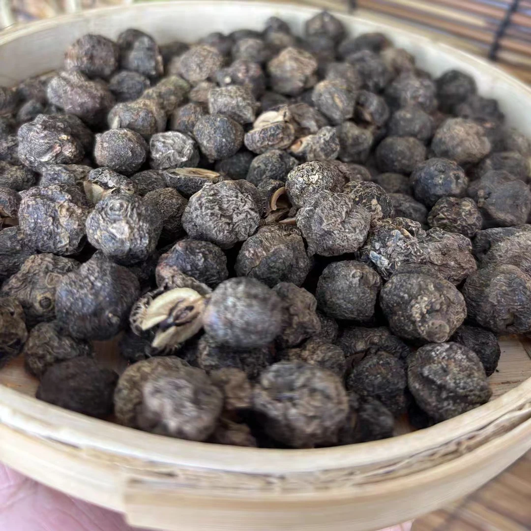 【沉香果】云南高山农家特产沉香果（盘）