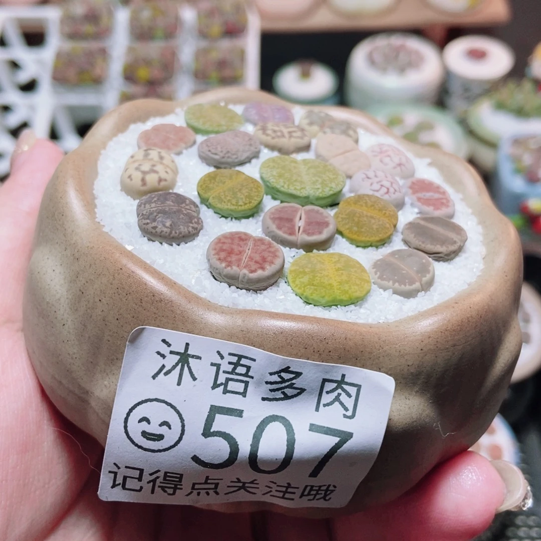 一物一拍 所见即所得507
