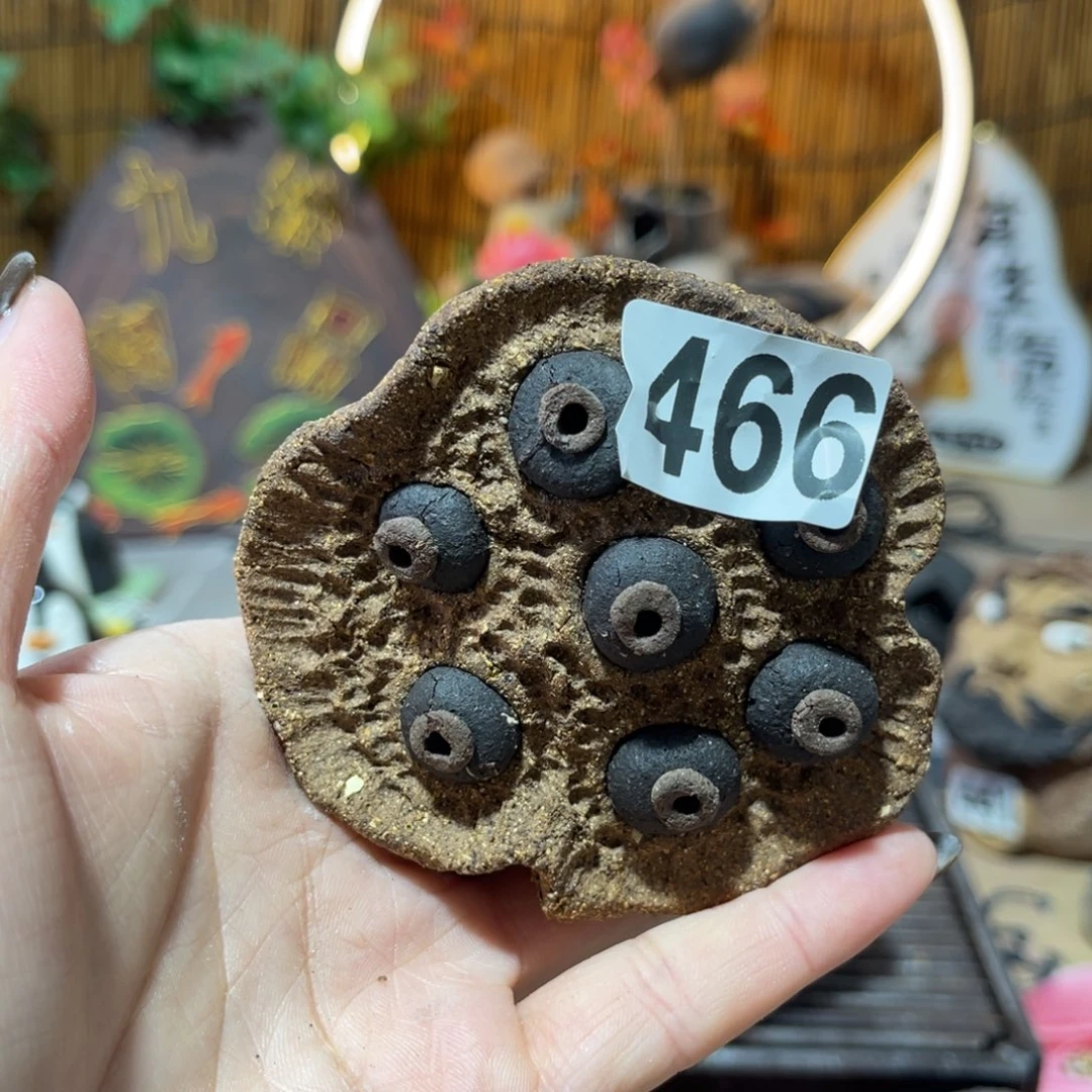 木村信弘柴烧保平