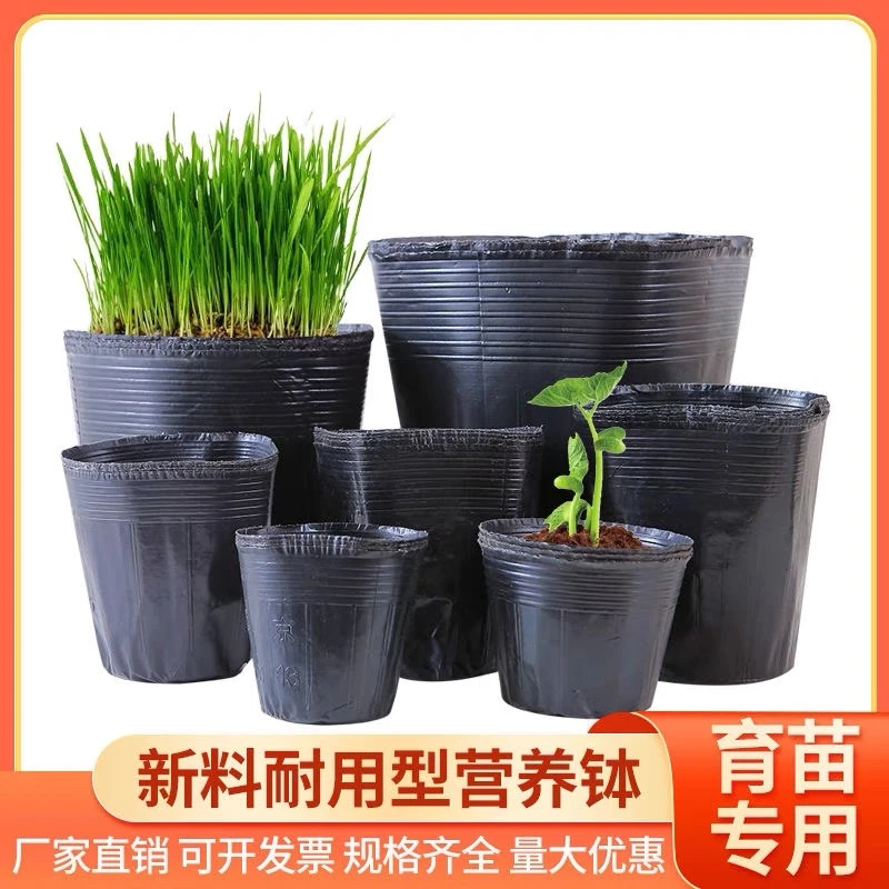 营养杯育苗盆育苗袋育苗杯育苗盒营养钵育种加厚培育一次性花盆