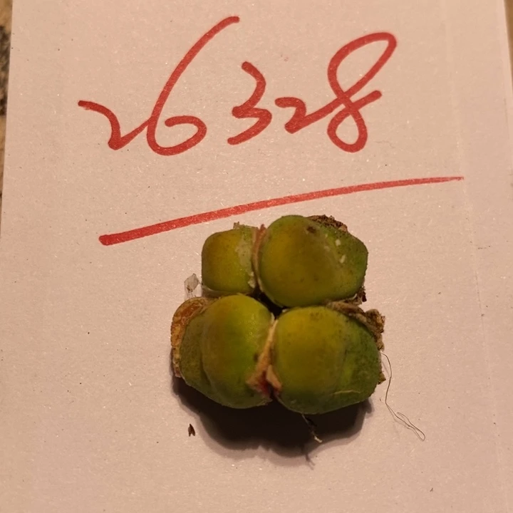 26328一个一个一个