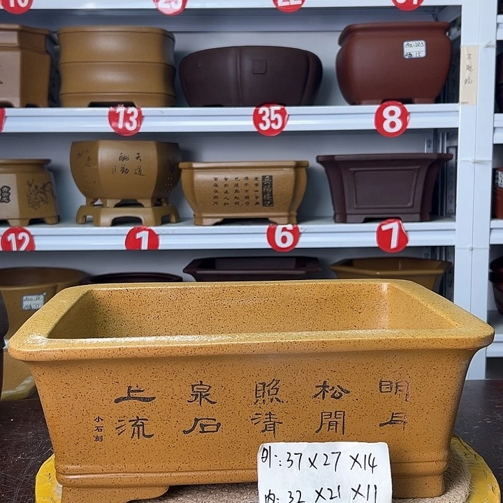 紫砂花盆你在一起